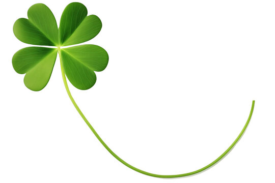 Green four leaf clover leaf