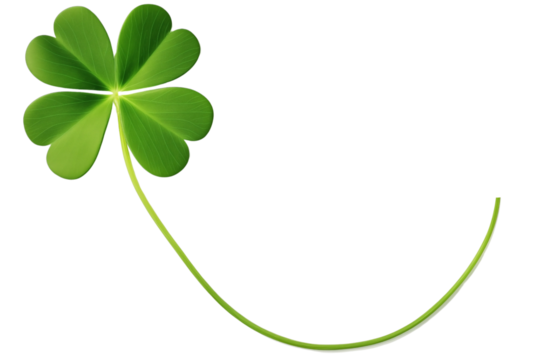 Green four leaf clover leaf