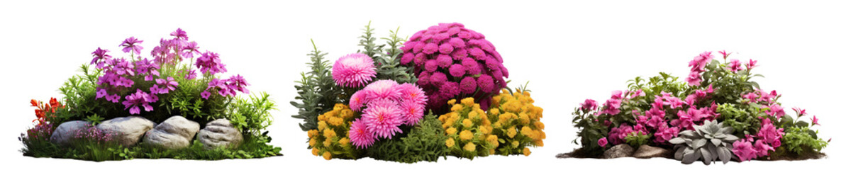 Set of garden flowers, cut out