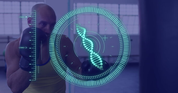 Image of data processing and scope scanning with dna strand over caucasian male boxer - Powered by Adobe