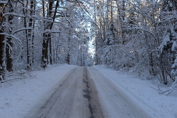 January weather in Lithuania