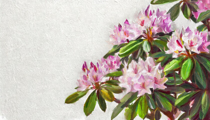 Naklejka na ściany i meble Oil painting of a rhododendron pure white background canvas, copyspace on a side 
