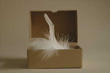 lone white feather, seemingly weightless, peeks out from a weathered wooden box on a worn table, hinting at a story waiting to be told