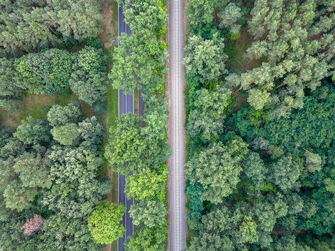 Schiene und Strasse im Wald