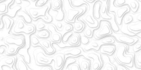 Obraz premium white paper and relief wave and cruve line paper cut background. soft white color seamless pattern, vector illustration, multi layer cutout banner design. topo counter map in 3d view.