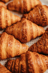 Freshly baked croissants aligned on plate