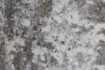 Peeling paint on the wall. Old concrete wall with cracked flaking paint. Weathered rough painted surface with patterns of cracks and peeling. High resolution texture for background and design. Closeup