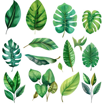 set of soft watercolor minimalist of Tropical leaves. tropical leaves such as palm fronds, banana leaves, and Monstera leaves