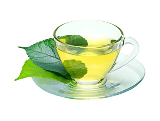 green tea with transparent cup isolated