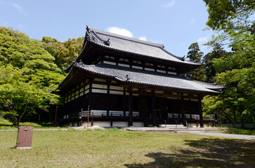 Obraz premium 根来寺 大伝法堂 和歌山県岩出市