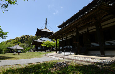 Obraz premium 根来寺 大塔と大伝法堂 和歌山県岩出市