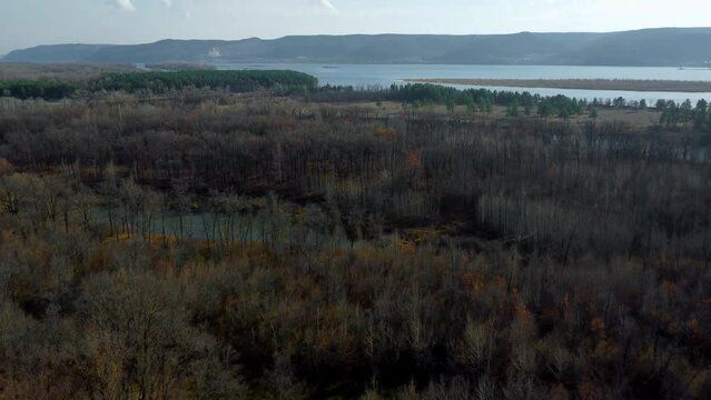 Autumn Overlook Aerial Views of Volga River, Forest, and the Grushinsky Festival Meadow in Warm Glow. Nature of Russia view from a drone in autumn