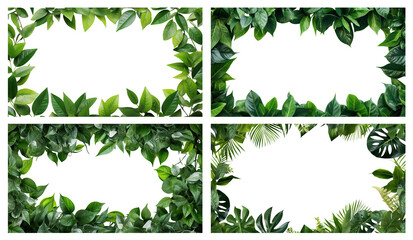 Set of frames made up of fresh green leaves, cut out