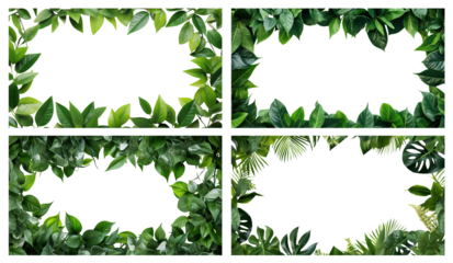 Set of frames made up of fresh green leaves, cut out