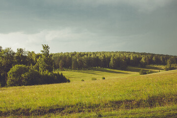 Rural area with lush green grassland, trees, and cloudy sky