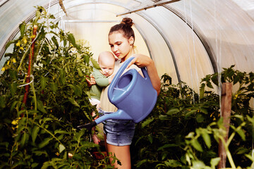 Young mother with baby in her arms uses garden watering can to water tomato seedlings in greenhouse...