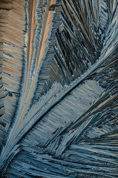 Frost patterns creating feather-like textures
