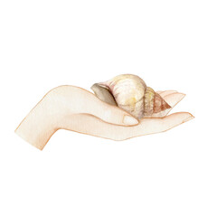 Watercolor illustration: shell in hand, on the palm. Elements are hand drawn and isolated