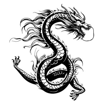 chinese dragon tattoo on white background.