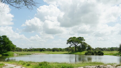 February Tanzania landscape with trees and water