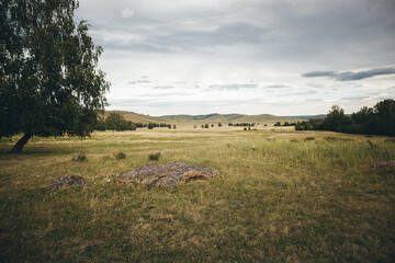 Obraz premium A boulder sits amidst a vast grassy field under a cloudfilled sky