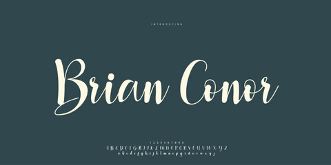 signature Font Calligraphy Logotype Script Brush Font Type Font lettering handwritten	
