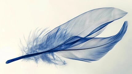 bird feathers background pattern, banner, wings background picture, seamless background