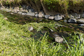 Naklejka na ściany i meble water flowing in a small narrow stream in summer