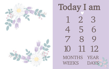Baby milestone blanket. Baby milestone cards. First 12 months cards. Baby photo frame with flowers .Baby shower decoration. Newborn girl cards, stickers. Vector illustration. 