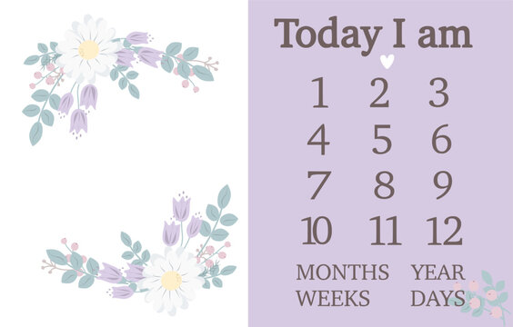 Baby milestone blanket. Baby milestone cards. First 12 months cards. Baby photo frame with flowers .Baby shower decoration. Newborn girl cards, stickers. Vector illustration. 