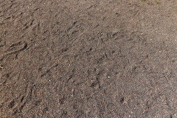 a pedestrian walkway in the park made of rubble and stones