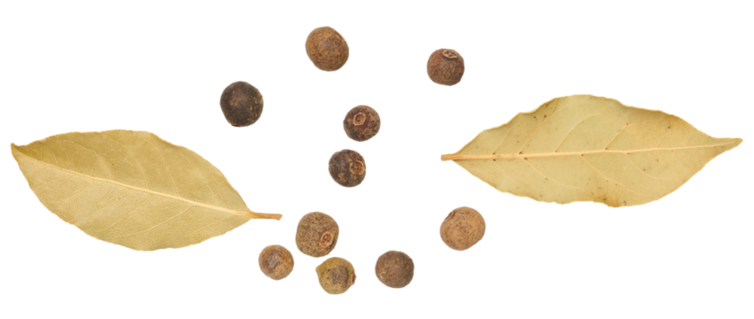 Bay leaf and allspice peas on isolated background, top view.