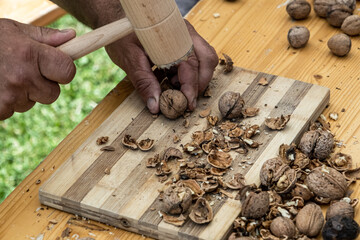 Man cracking walnuts with hammer at table, closeup