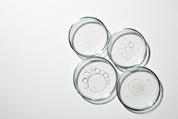 Petri dish with liquid, oil, gel, water, molecules, viruses. On a white background.