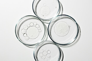 Petri dish with liquid, oil, gel, water, molecules, viruses. On a white background. - 741453091