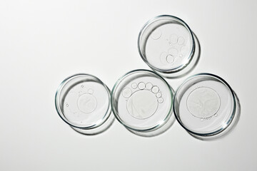 Petri dish with liquid, oil, gel, water, molecules, viruses. On a white background. - 741453225