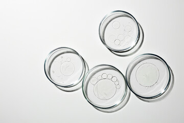 Petri dish with liquid, oil, gel, water, molecules, viruses. On a white background.