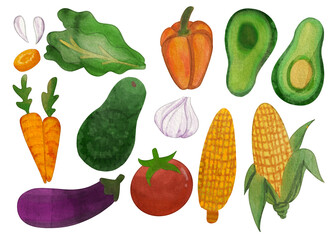 Vegetables & Fruit