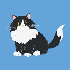 Persian cute black and white fluffy cat is sitting pose. Isolated vector illustration.