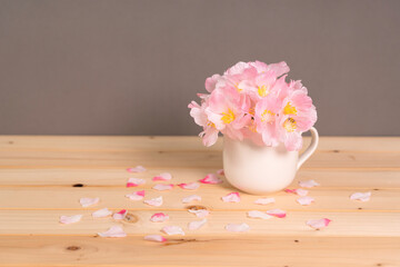 Obraz na płótnie Canvas グレーの背景に花瓶に生けた桜の花