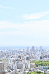 Obraz premium 大都市