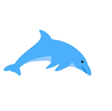 Dolphin Fish Illustration
