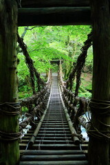 旅行のイメージ風景　かずら橋, 四国, 祖谷