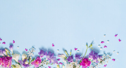 Fototapeta premium spring beautiful flowers on blue background