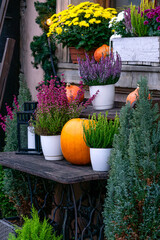 A beautiful decoration of orange pumpkins and bouquets of flowers decorates the street for Halloween. - 741477409