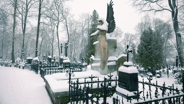 Footage of Bernardine XIX century cemetery on snowy winter day. Tombstone with angel sculpture. VILNIUS, LITHUANIA - 01 10 2024.