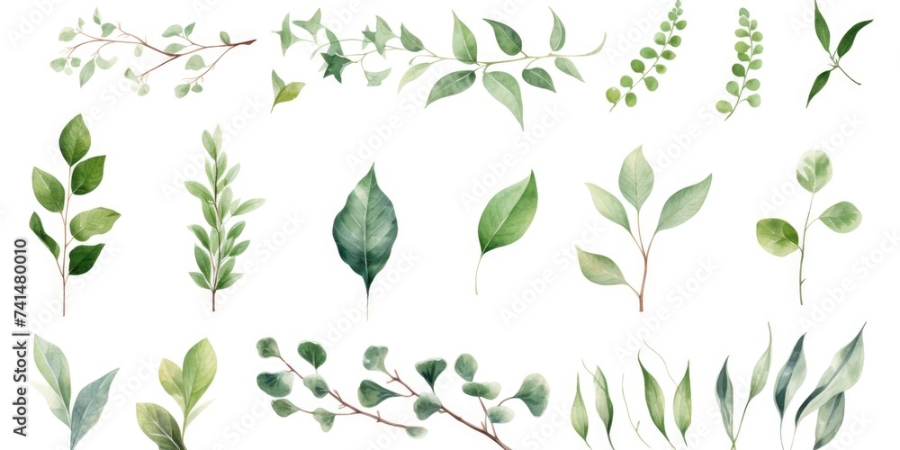 Poster a collection of beautiful watercolor leaves and branches. perfect for various design projects