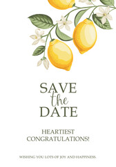 Wedding invitation. Lemon illustration. hand-drawn frame. - 741481800