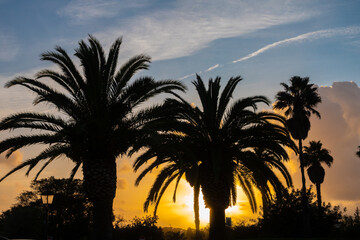 Bright sunset over the charming countryside of the algarve region of Portugal