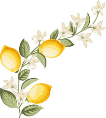 Lemons branch on white background - 741482248